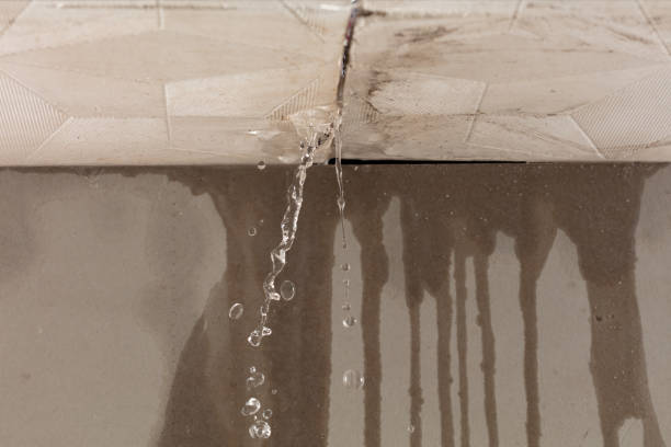 Professional Water Extraction technician working in Freeport, MI